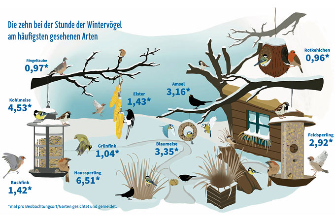 Die Ergebnisse der Stunde der Wintervögel 2022 - Grafik: publicgarden