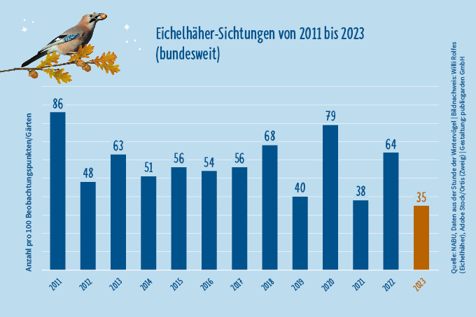Eichelhäher-Sichtungen bei der Stunde der Wintervögel - Foto Eichelhäher: Willi Rolfes, Zweig: Adobe Stock/Ortis, Gestaltung: publicgarden GmbH