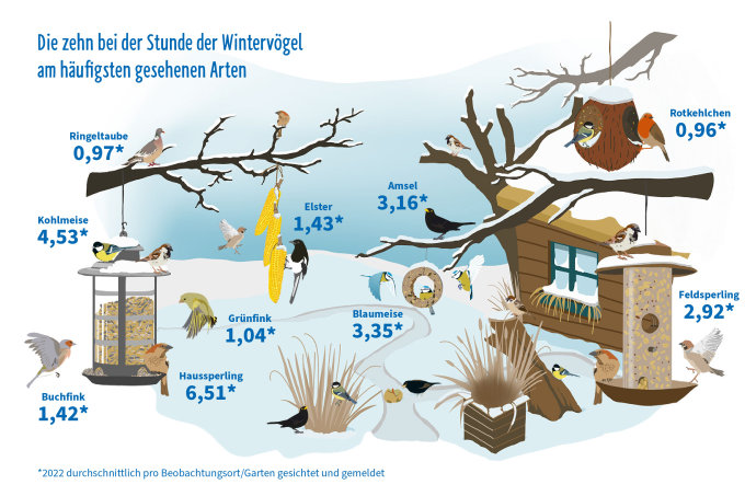 Die Ergebnisse der Stunde der Wintervögel 2022 - Grafik: publicgarden