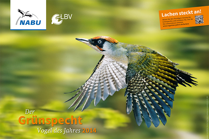 Plakat zum Vogel des Jahres 2014 - Foto: Kim Taylor/Warren Photographic Ltd./NABU