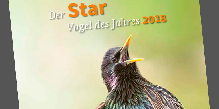 Broschüre zum Star - Vogel des Jahres 2018