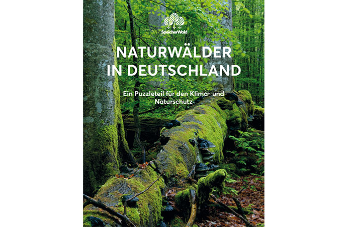SpeicherWald-Broschüre „Naturwälder in Deutschland. Ein Puzzleteil für den Klima- und Naturschutz“