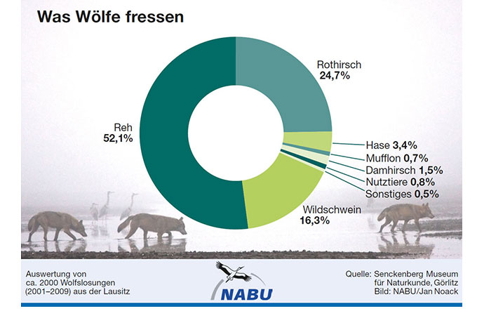 Speiseplan Wolf - Grafik: NABU/Jan Noack