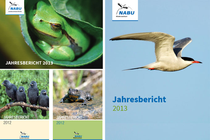 Jahresberichte der Landesverbände - NABU