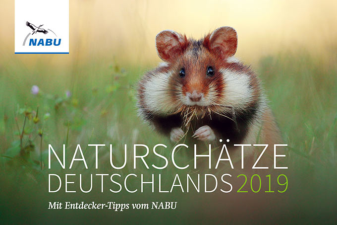 NABU-Kalender „Naturschätze Deutschlands 2019“ - Feldhamsterfoto: Julian Rad