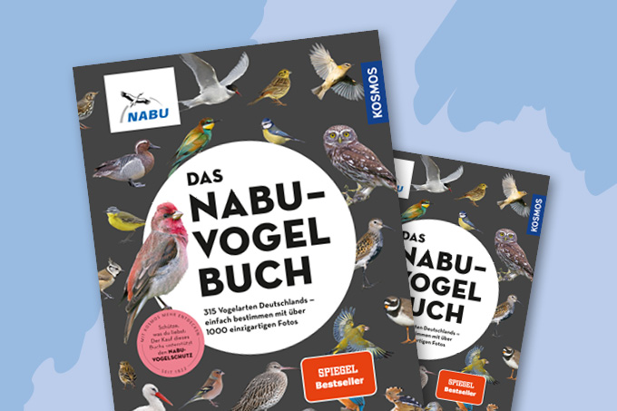 Das NABU-Vogelbuch, Text von Fabian Karwinkel und Peter Mullen, 272 Seiten, 26 Euro, ISBN 978-3-440-17811-9