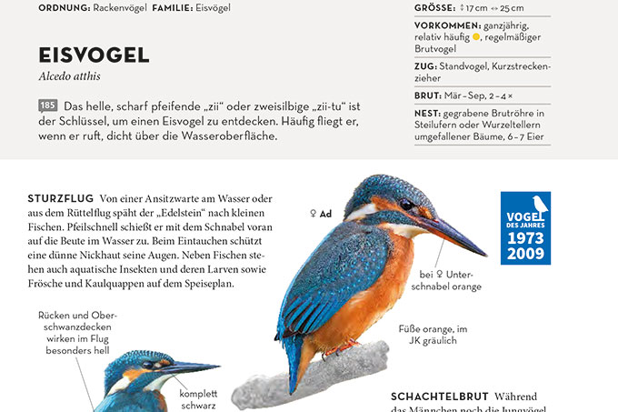 Blick ins neue NABU-Vogelbuch - (c): Kosmos/Sunbird Images