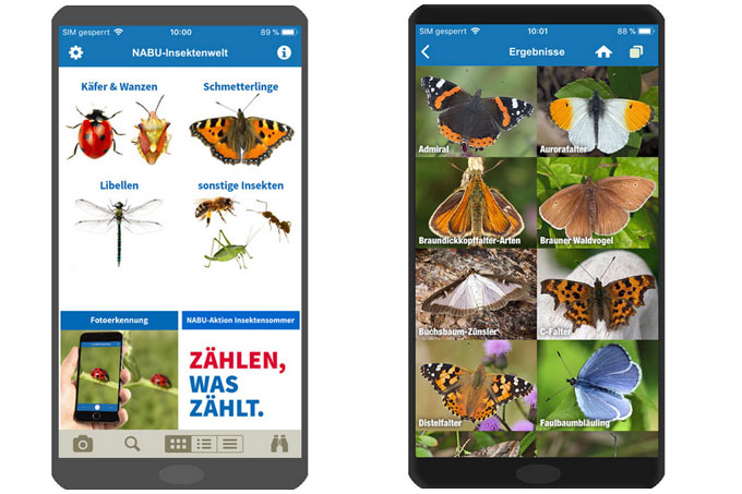 NABU-App „Insektenwelt“