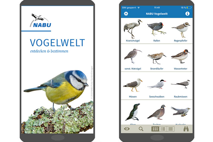 Einblicke in die NABU-App „Vogelwelt“