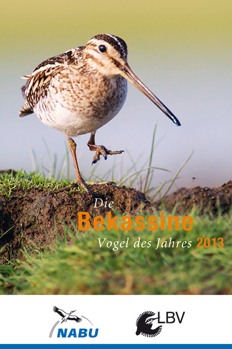 Broschüre Vogel des Jahres 2013