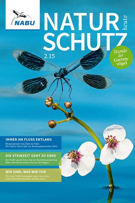 Titelbild „Naturschutz heute“ 2/15 - Libellenfoto: Willi Rolfes