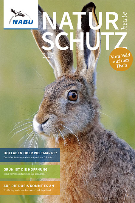 Cover „Naturschutz heute“, Ausgabe 3/17, Feldhasenfoto: PA/Chromorange/J. Schwarz