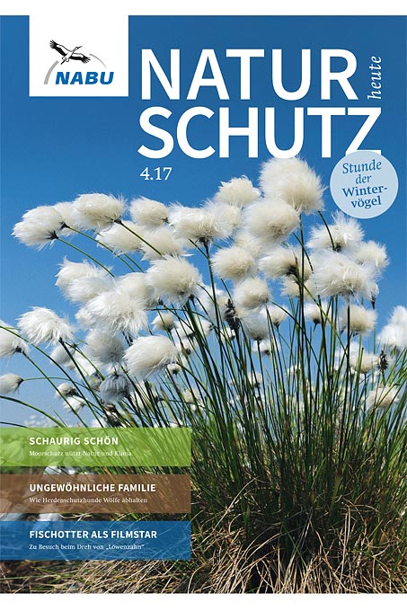 Cover „Naturschutz heute“, Ausgabe 4/17, Wollgrasfoto: Willi Rolfes