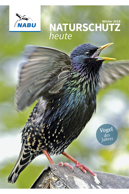 Cover „Naturschutz heute“, Ausgabe 1/18, Starenfoto: Hans Schweiger/Picture Alliance/Wildlife