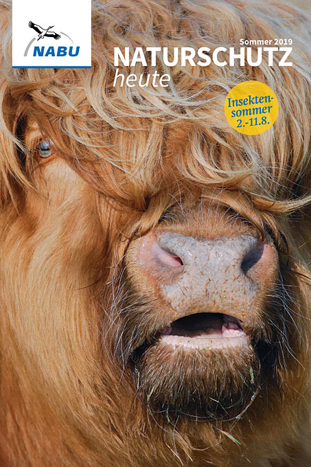 Cover „Naturschutz heute“ 3/19 – Hochlandrindfoto: Picture Alliance/Blickwinkel/Rainer Kaufung