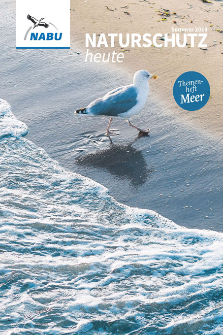 Cover Naturschutz heute Sommer 2018 - Foto Ostseestrand mit Silbermöwe: Picture Alliance/Stephan Mentzner