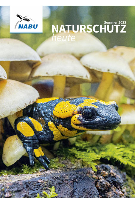 Cover „Naturschutz heute“, Ausgabe 2/23 – Foto: Andreas Hartl/Picture Alliance/Blickwinkel