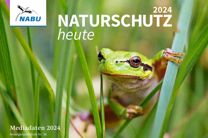 Mediadaten „Naturschutz heute“ 2024 - Foto Laubfrosch: NABU/Cewe/Michael Voss