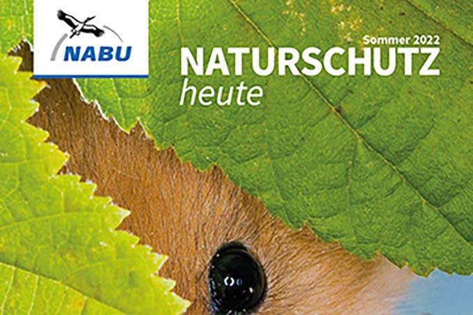 Cover „Naturschutz heute“, Ausgabe 2/22 – Foto Haselmaus: Frank Hecker