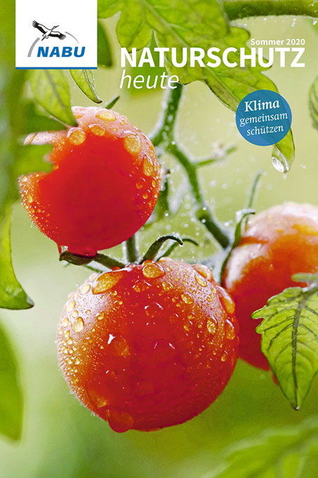 Cover „Naturschutz heute“, Ausgabe 2/20 – Foto Tomate: Thomas Jäger/picture alliance