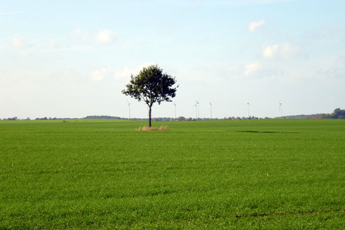 Landwirtschaft und Windkraft - Foto: Ulf Bähker