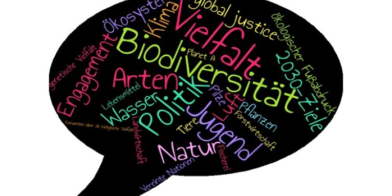 Youth Talks Biodiversity - Teil 2