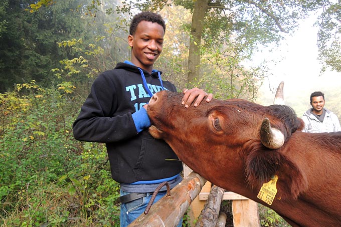Biniam und Filmon bei einer Rinderherde der bedrohten Haustierrasse Rotes Höhenvieh - Foto: Frank Seumer