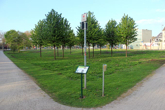 Die Rasenfläche am Eingang eines Kölner Stadtparks, die nie so recht genutzt wurde, wird mit Wiesenblumen ökölogisch aufgewertet. - Foto: NABU/V. Unterladstetter