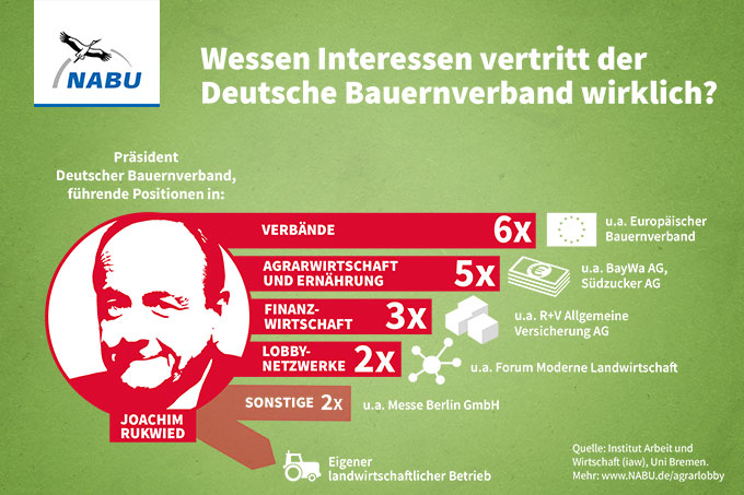 Ämter und Funktionen des DBV-Präsidenten Joachim Rukwied: allgegenwärtig in Verbänden, Wirtschaft und Finanzmarkt - Grafik: NABU <b>(Für die ausführliche Netzgrafik bitte auf das Bild klicken)</b>