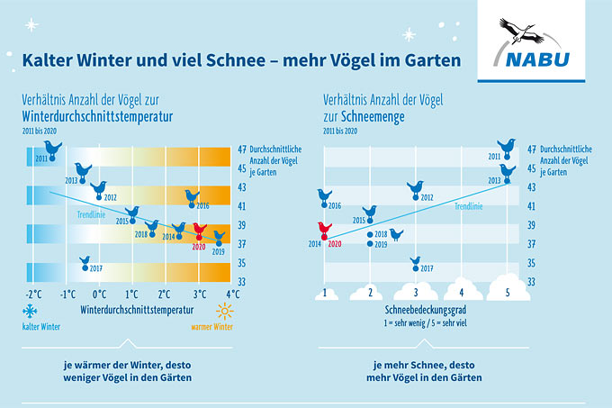 Durchschnittliche Vogelzahlen im Garten in Abhängigkeit von Temperatur und Schneedecke. Daten aus der Stunde der Wintervögel (zur Vergrößerung auf die Grafik klicken)