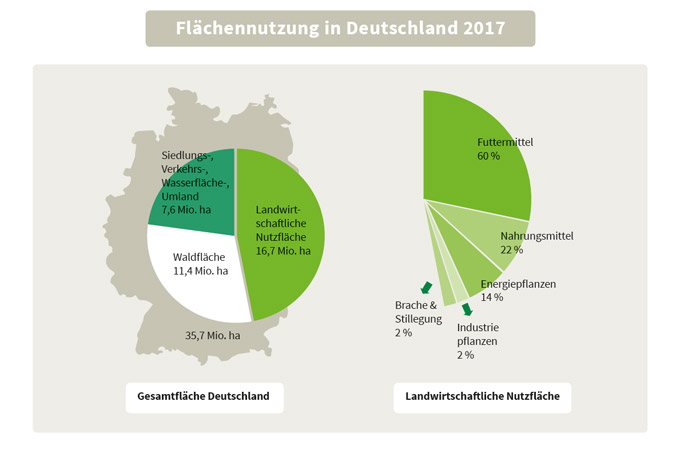 Flächennutzung in Deutschland (nach Statistischem Bundesamt, BMEL 2017)