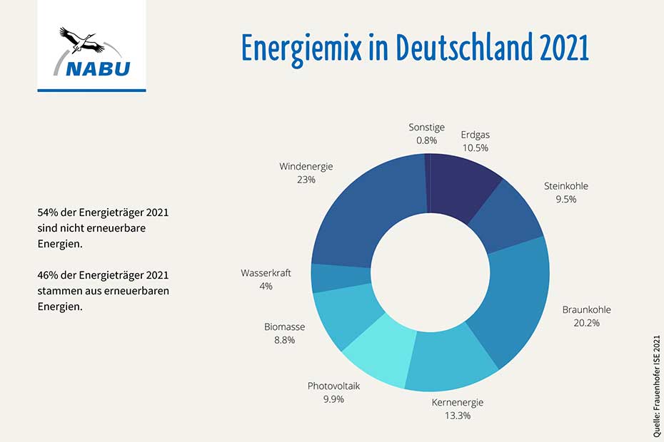 Energiemix in Deutschland 2021 - Grafik: NABU