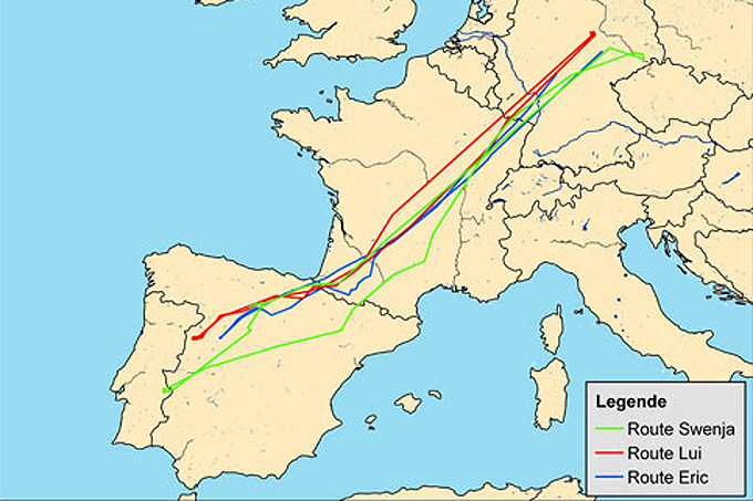 Routen der besenderten Rotmilane 2010/11 - Grafik: NABU e.V.