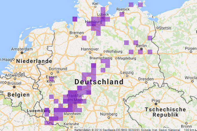 Auf der Naturgucker-Karte zeichnet sich der massive Zug am 4. Oktober von Südniedersachsen bis ins Saarland deutlich ab.