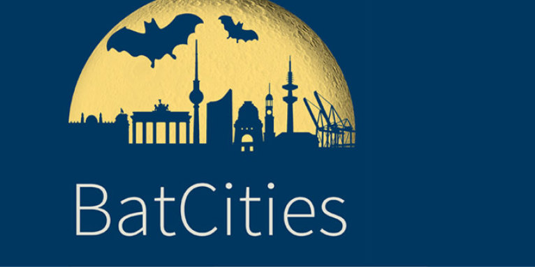 Batcites Logo