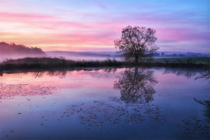 Teich im Morgennebel - Foto: NABU/CEWE/Perry Wunderlich