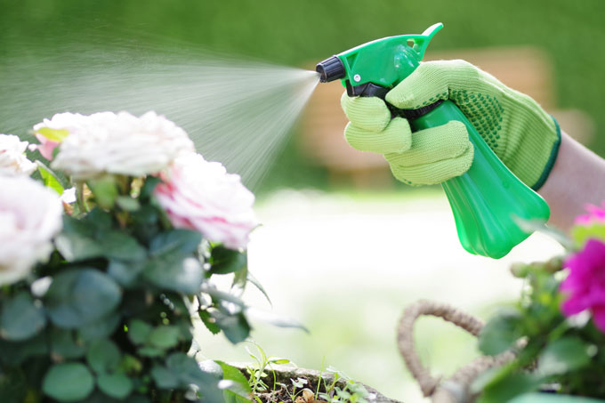 Pestizidanwendung im Garten - Foto: Wellnhofer Designs - stock.adobe.com