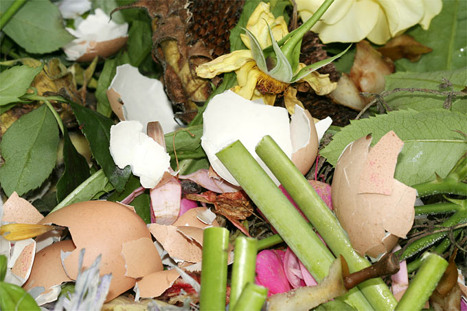 Kompostierbare Abfälle  - Foto: Helge May