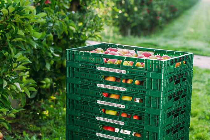 Eine Lösung, um Transportverpackungsmüll zu vermeiden, sind Mehrweglösugen. - Foto: Euro Pool System Fruit