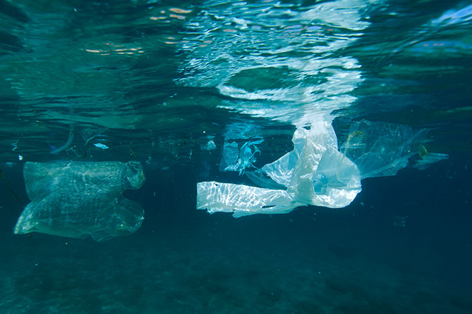 Plastiktüten treiben in den Ozeanen und bedrohen die Meereswelt - Foto: Gavin Parsons/Marine Photobank