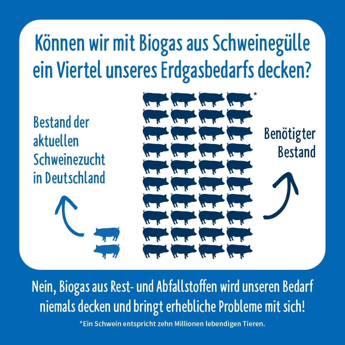 Dänemark hielt 2021 etwa 2,4 Schweine pro Kopf der Bevölkerung. Bei 83 Millionen Deutschen wären es also knapp 200 Millionen Schweine, die in Deutschland nötig wären für die gleiche Menge Gülle pro Person. Wir verbrauchen aber in Deutschland mehr als doppelt so viel Gas pro Person wie in Dänemark. Das heißt, wir bräuchten 400 Mio. Schweine für einen vergleichbaren Anteil Biogas. Aktuell werden in Deutschland etwa 20 Millionen Schweine gehalten, es wäre also eine völlig unrealistische Menge - Grafik: NABU/süsses+saures