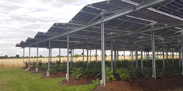 Agri-Photovoltaik: Solarmodule auf dem Acker - NABU