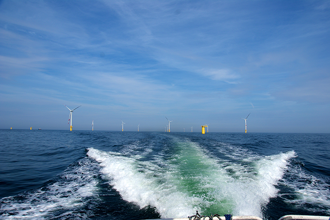 Bau von Windkraftanlagen des Offshore-Windparks Baltic 1 in der deutschen Ostsee - Foto: NABU/Andreas Fußer