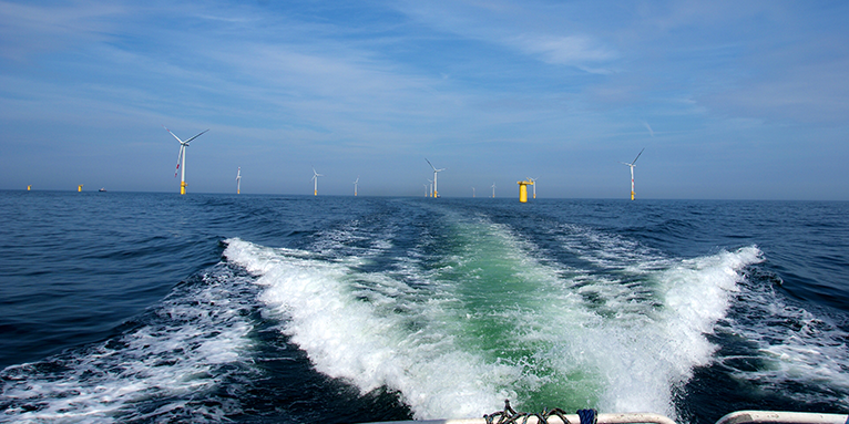 Bau von Offshore-Windkraftanlagen des Offshore-Windparks Baltic 1 in der deutschen Ostsee. Foto: NABU/Andreas Fußer
