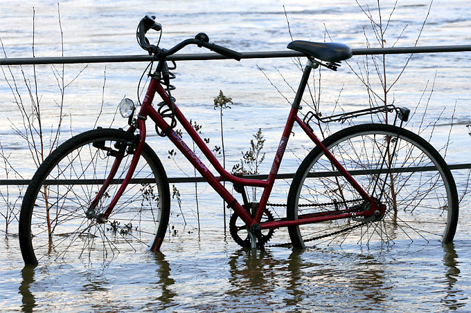 Fahrrad am überschwemmten Rheinufer - Foto: Helge May