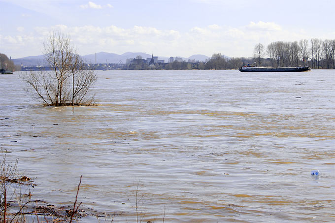 Hochwasser - Foto: Helge May