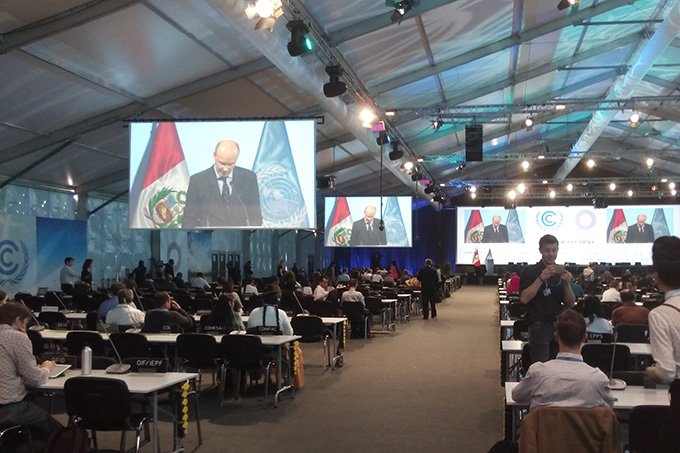 Viele internationale Umweltorganisationen beobachten die Konferenz in Lima