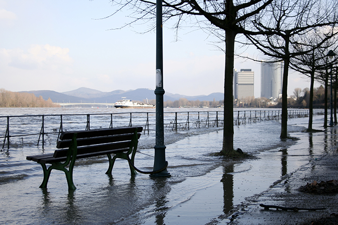 Hochwasser am Rheinufer in Bonn, 2012 – Foto: NABU/Helge May