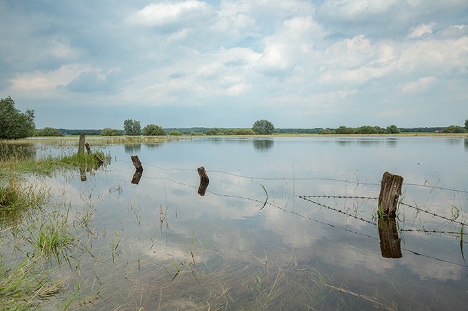 Allerhochwasser: Überflutete Wiese mit Zaun bei Barnstedt - Foto: NABU/Klemens Karkow