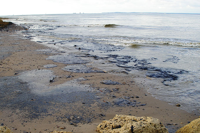 Öl am Strand - Foto: Marine Photobank